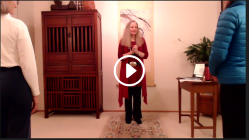Wuji Gong Practice Video ~ Digital Product video